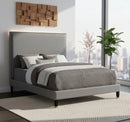 Harlie Grey Velvet King Bed