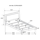 Felicity Panel Bed with LED Lighting