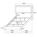 Marceline Panel Bed with LED Lighting