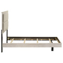 Trenton Panel Bed