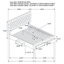 Soledad Panel Platform Storage Bed