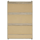 Denia Shoe Cabinet