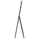 Windrose Standing Mirror with LED Lighting