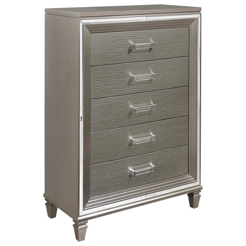 Tamsin Chest in Silver Grey Metallic 1616-9 image