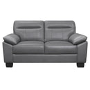 Denizen Loveseat in Dark Gray 9537DGY-2